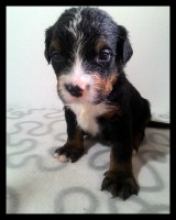 /album/a4-tyzden-4th-week/kolaz-iv-6-jpg/